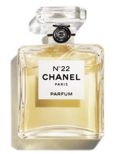 chanel 22 perfume history|buy chanel no 22.